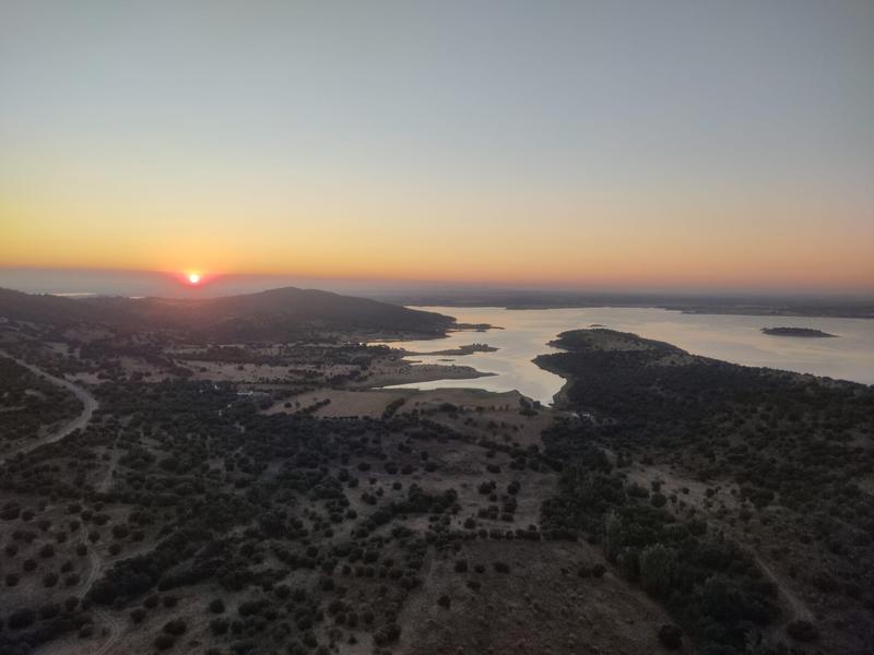 Book Today, Fly tomorrow